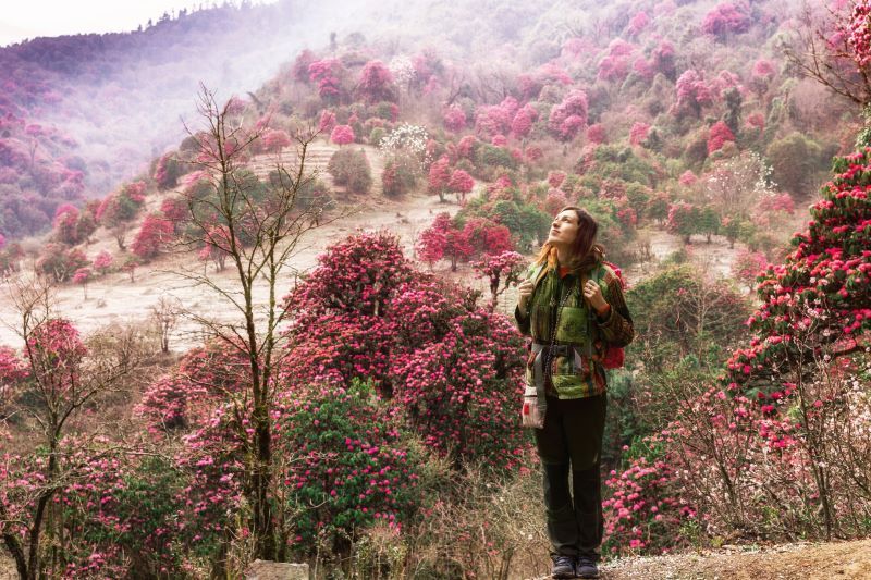 Ghorepani Poon Hill sunrise view over Annapurna range