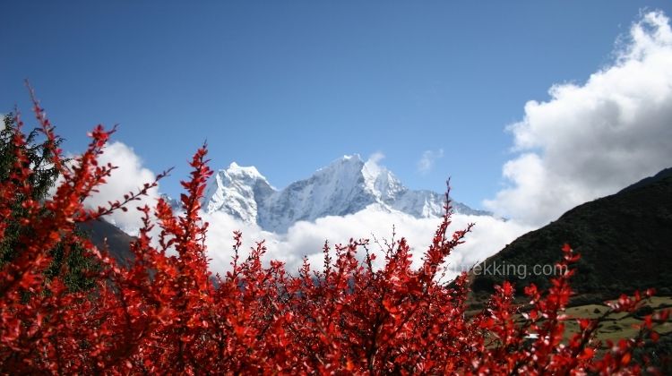 EBC Trek Over 50 — Can You Do It
